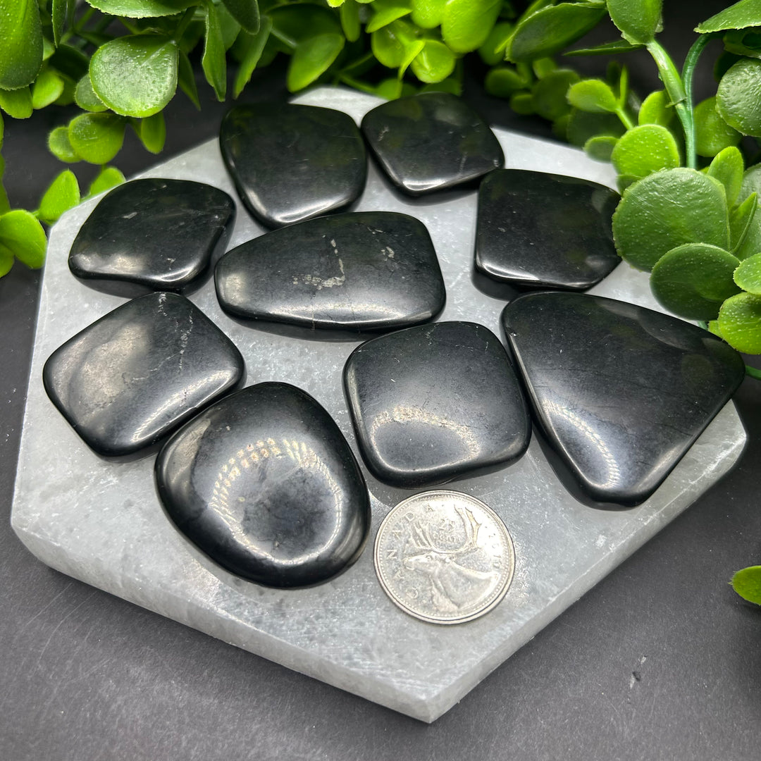 Shungite Palm Stones