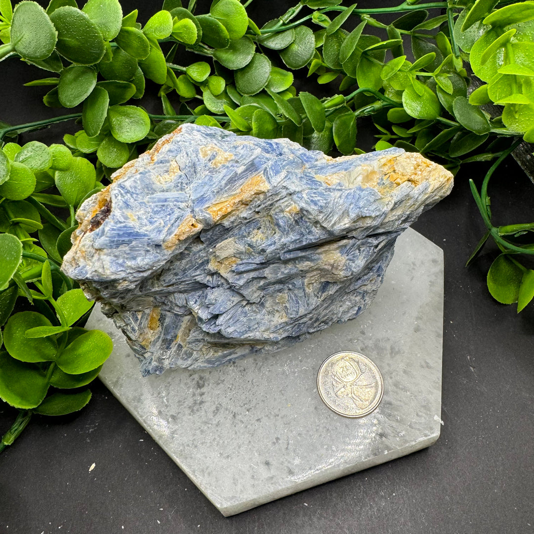 Blue Kyanite Cluster #13