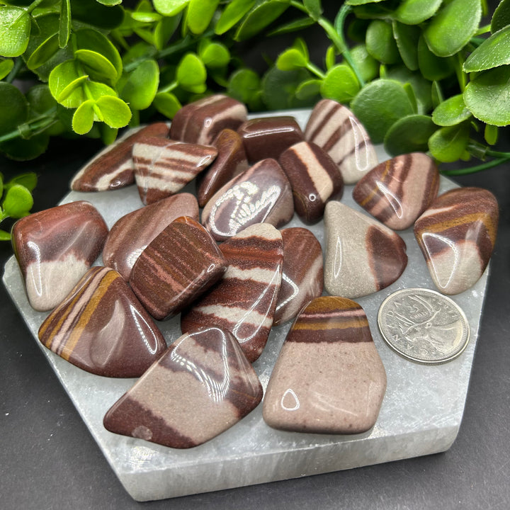 Shiva Lingam Tumbled Stones