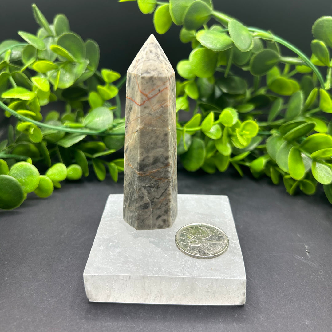 Picasso Jasper Polished Point (#4)