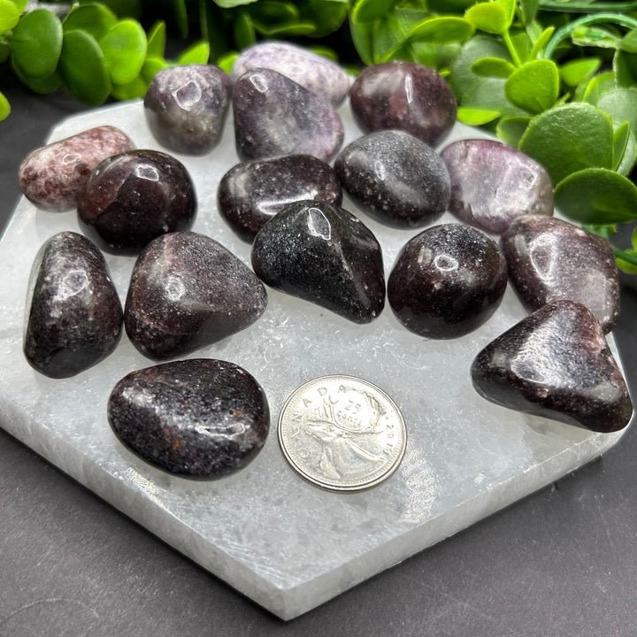 Dark Lepidolite Tumbled Stones