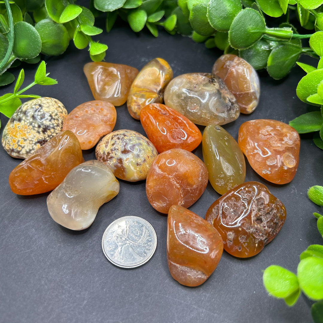 Carnelian Tumbled (L)