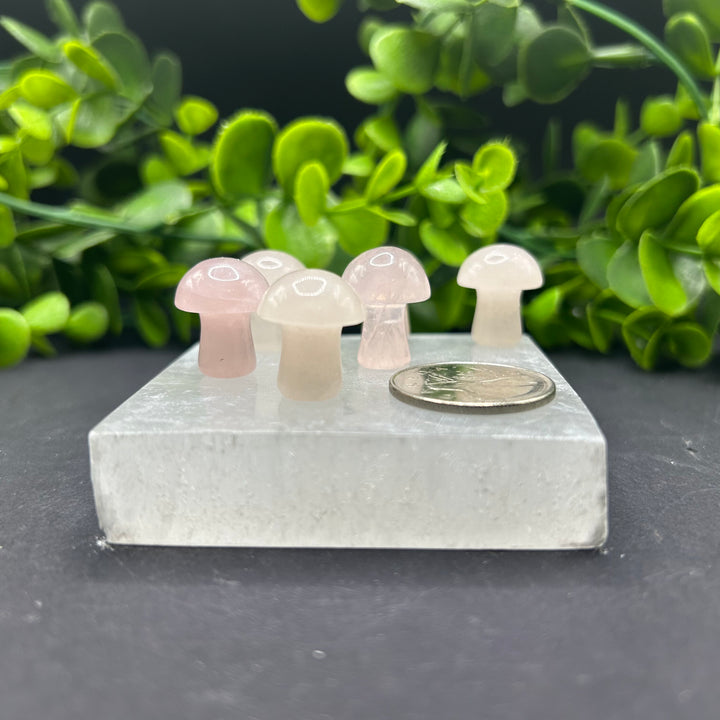 Rose Quartz Mini Mushrooms