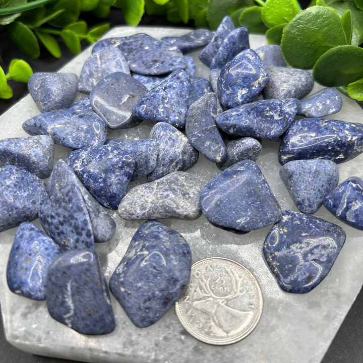 Dumortierite Tumbled