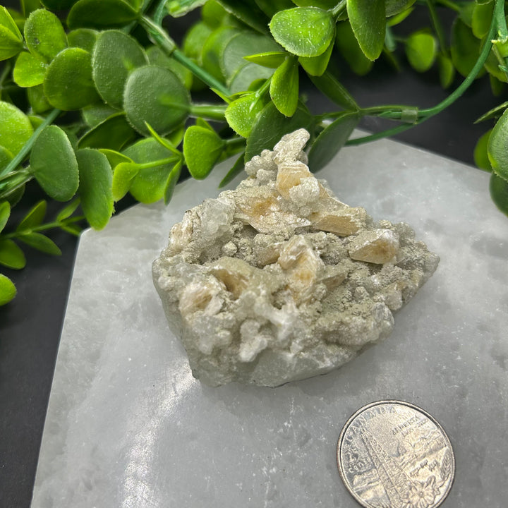 Apophyllite Zeolite Cluster(#17)