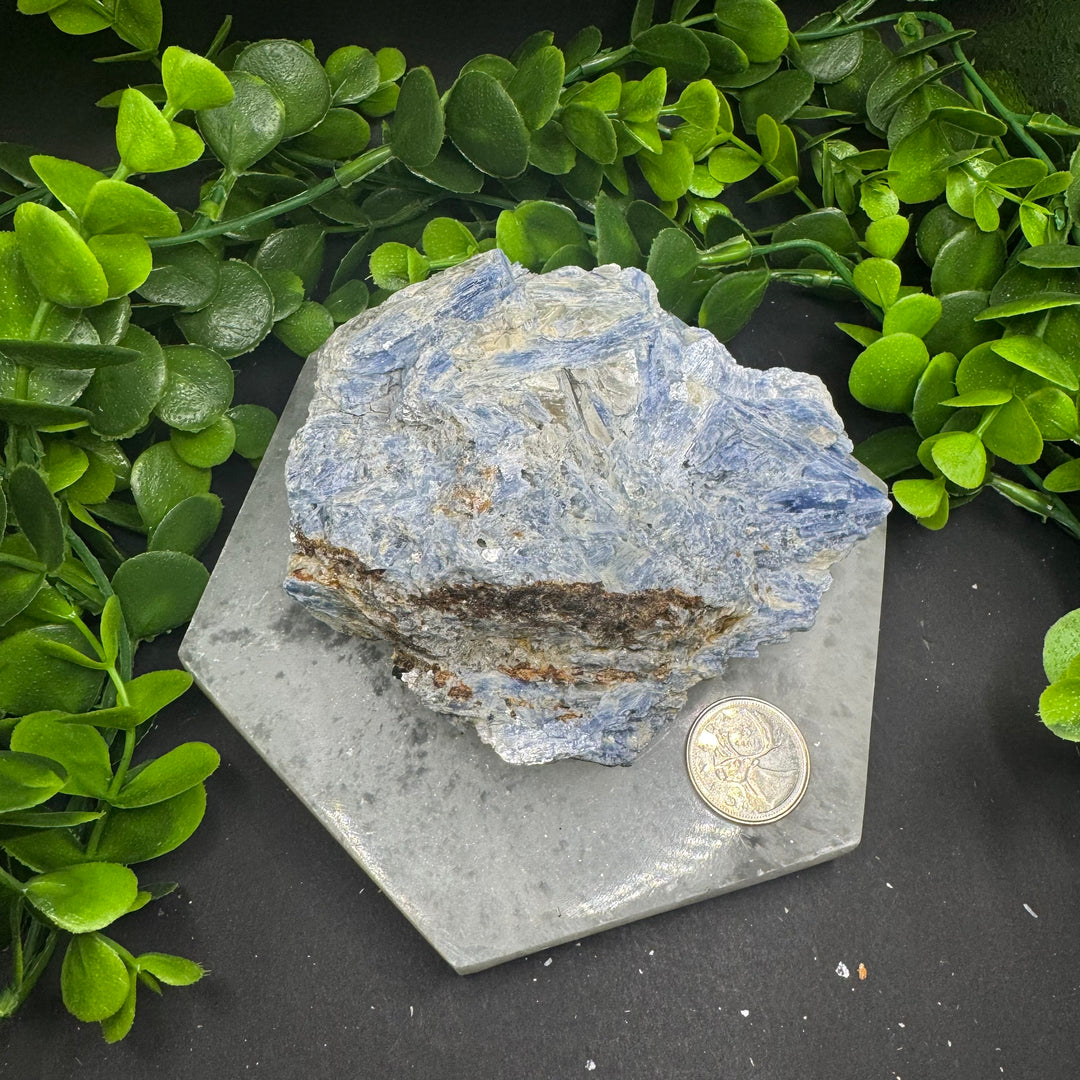 Blue Kyanite Cluster #3