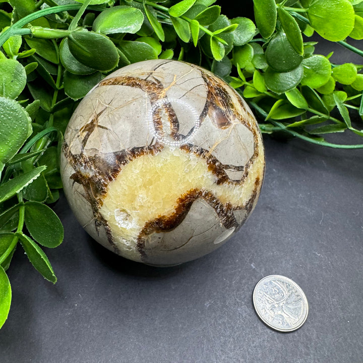 Septarian Sphere 80mm