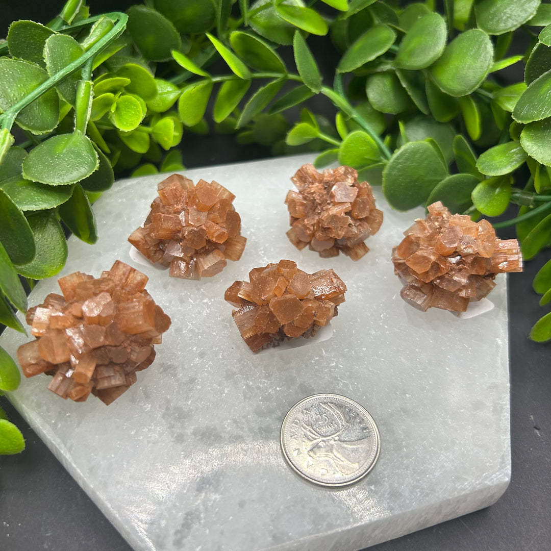 Aragonite Clusters (S)