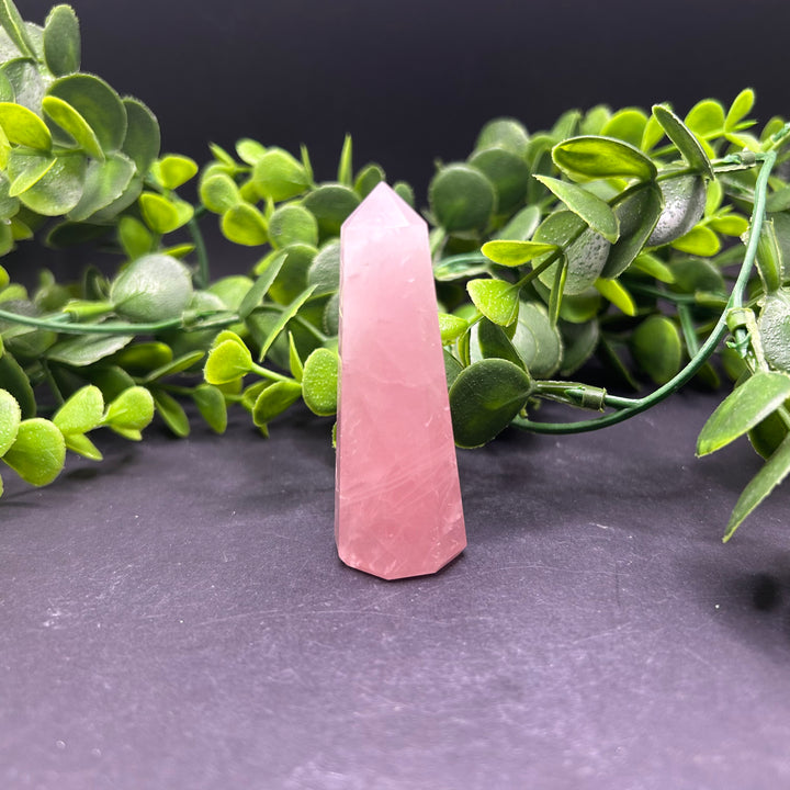 Rose Quartz Polished Point (#19)