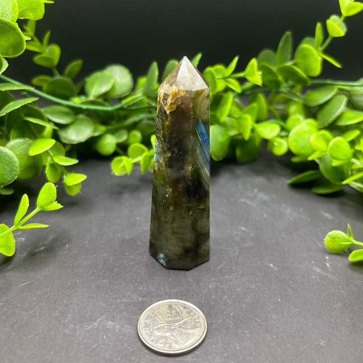 Labradorite Polished Point (#3)