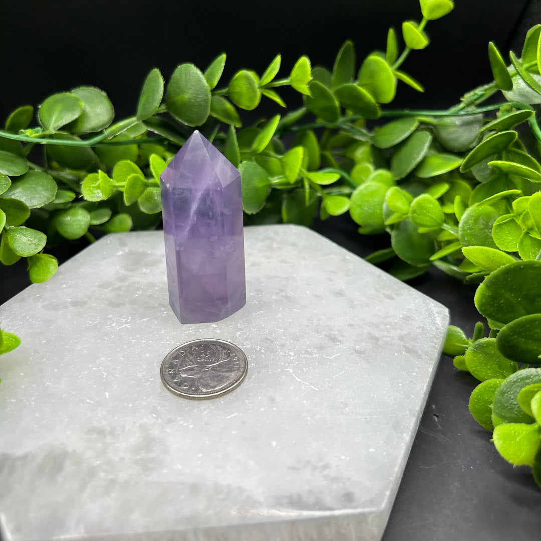 Pastel Fluorite Polished Point (#2)