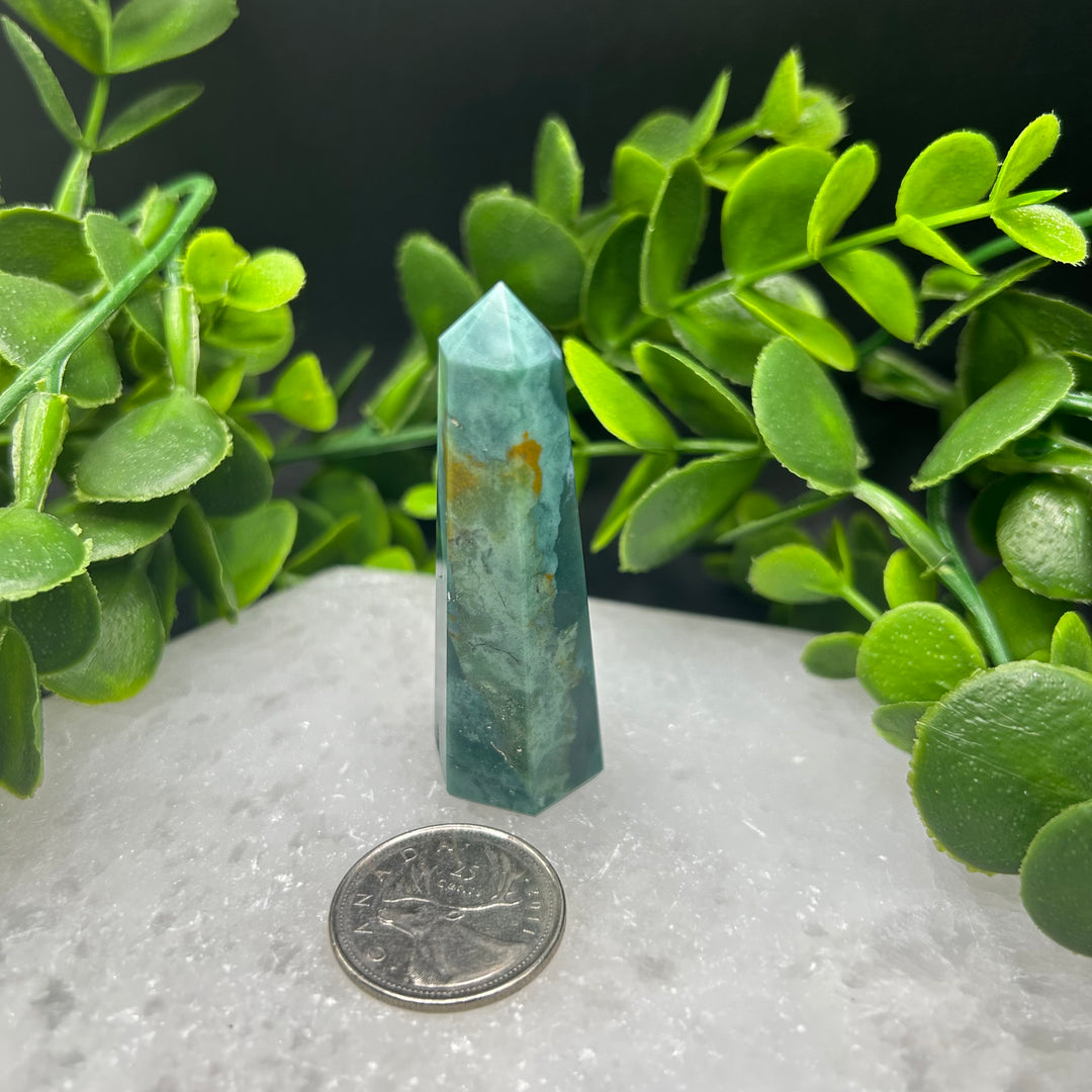 Bloodstone Polished Point (#5)