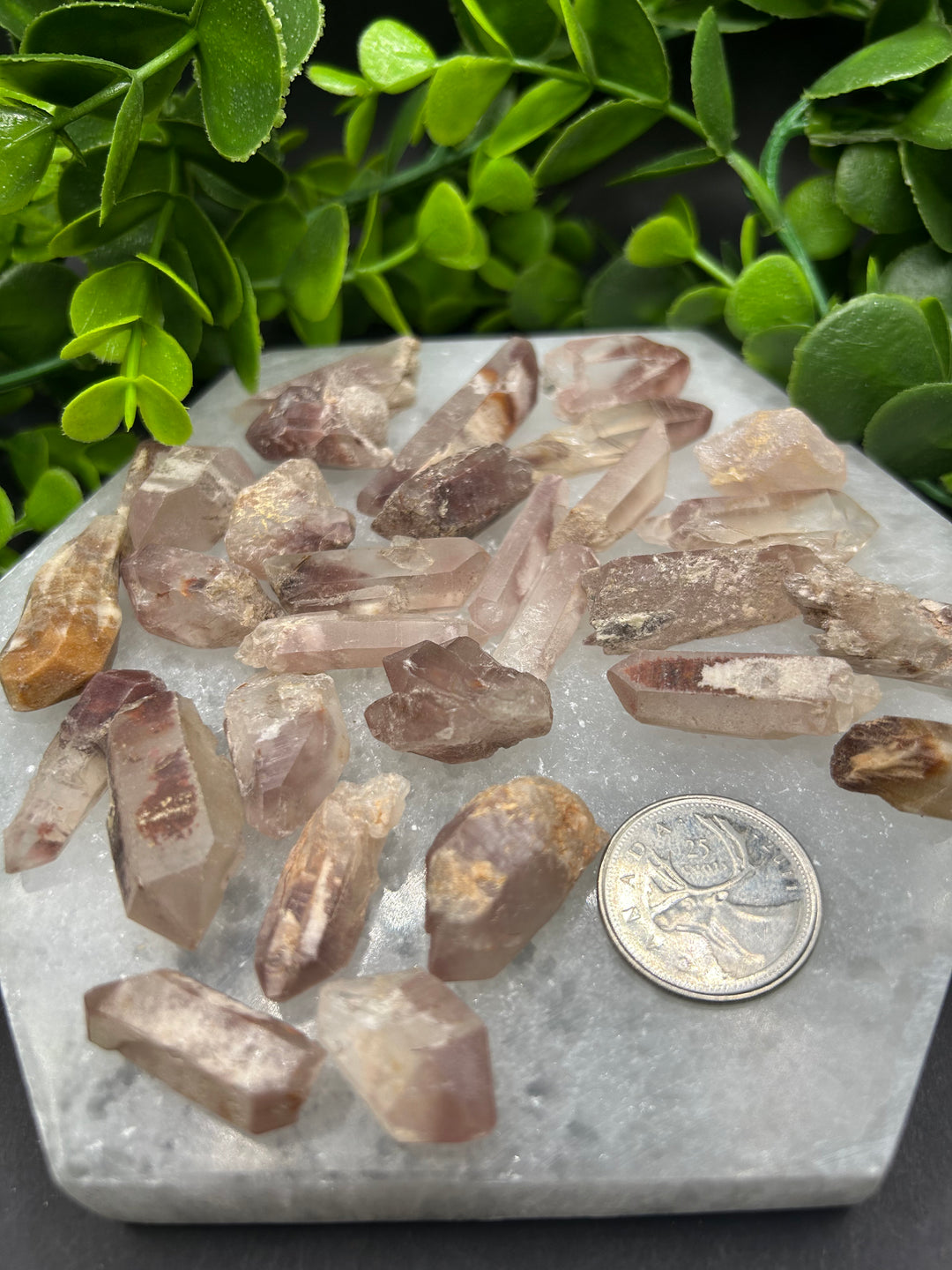 Lavender Lithium Quartz Rough Cut Points