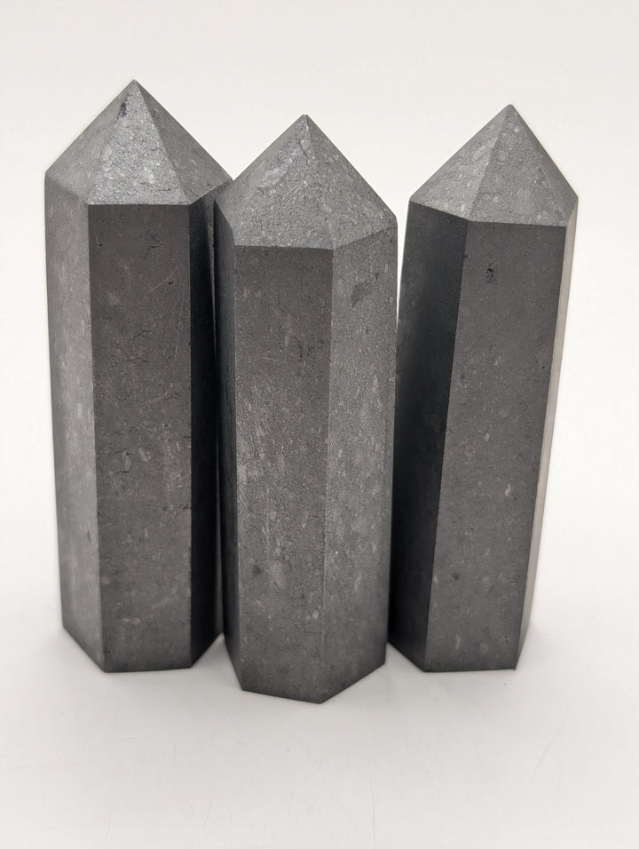 Shungite Polished Point