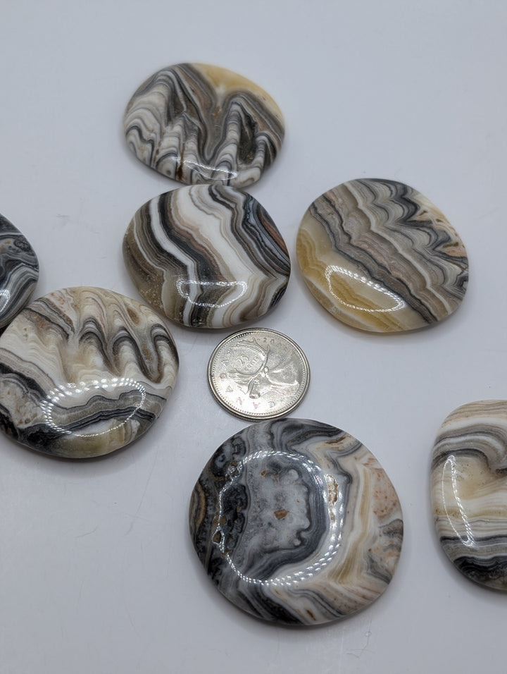 Premium Zebra Calcite Palm stone