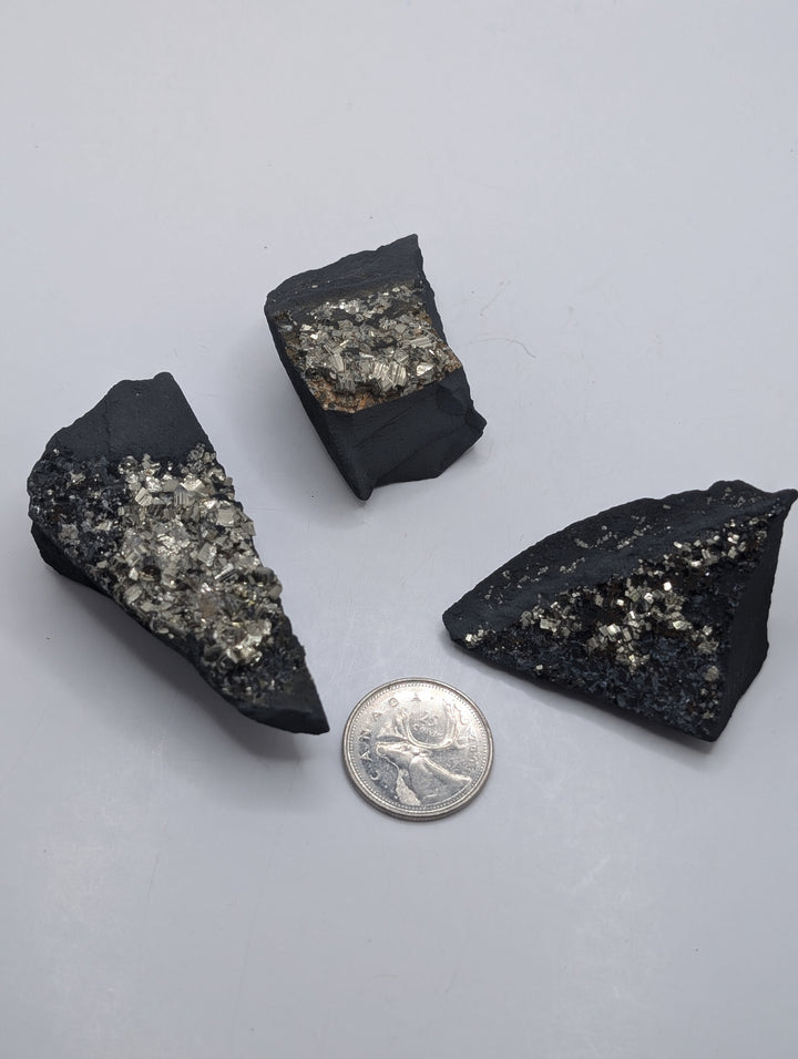 Pyrite on Shungite (Med)