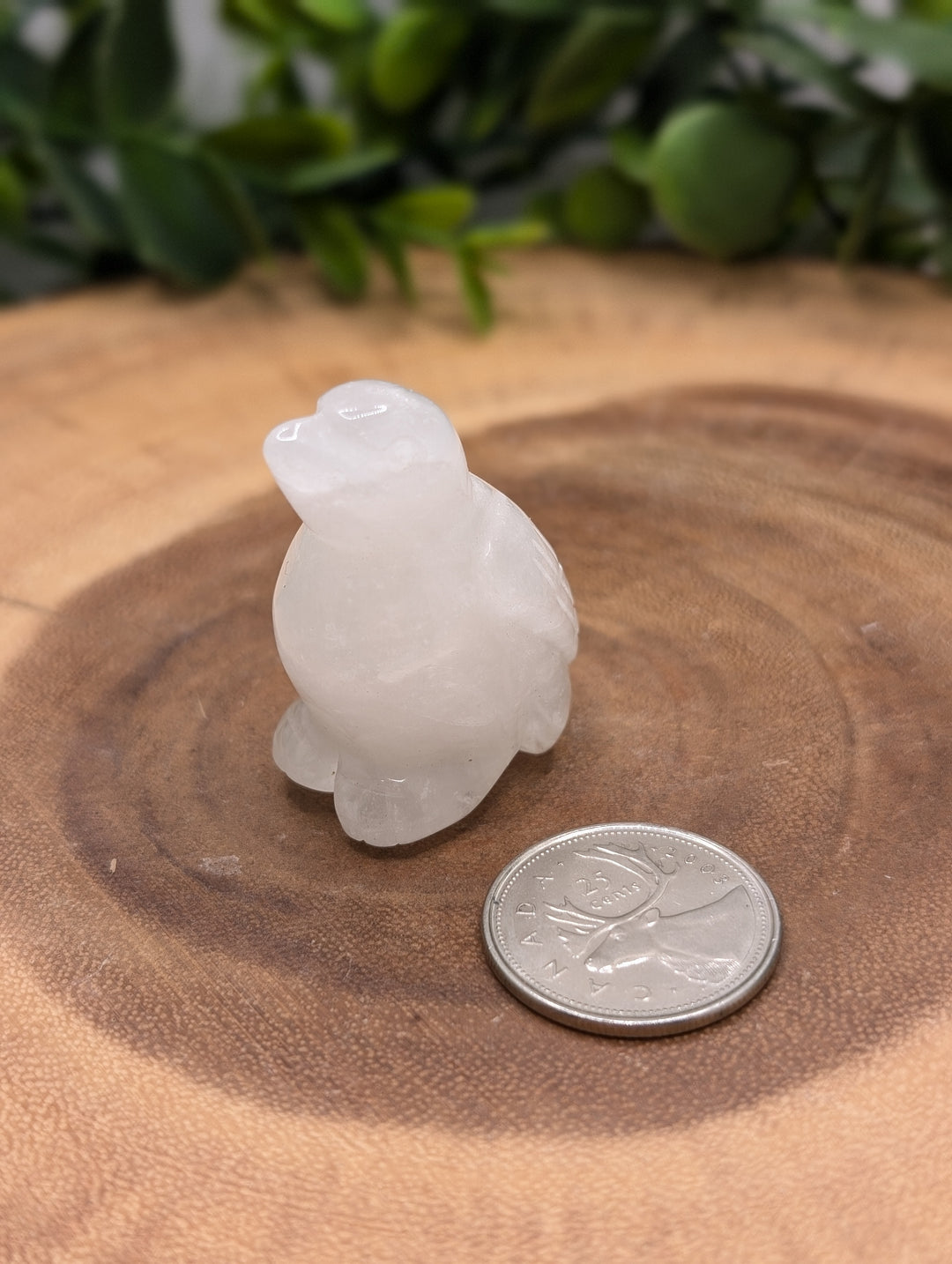 Clear Quartz Bird Carving