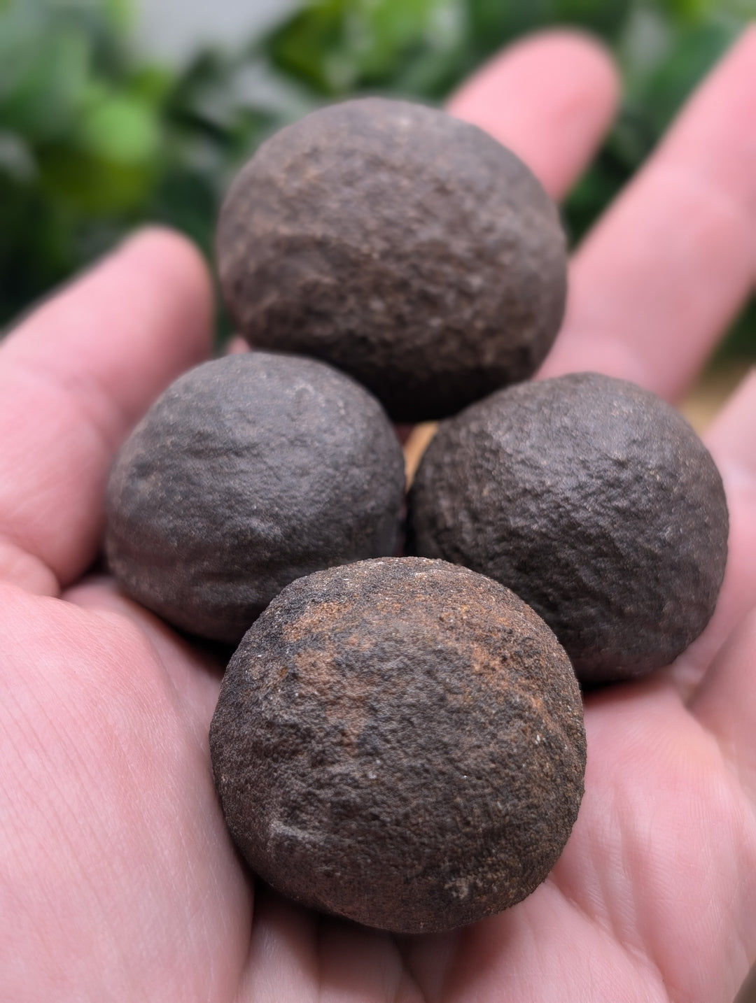 Shaman Stones (Mochi Balls) Large