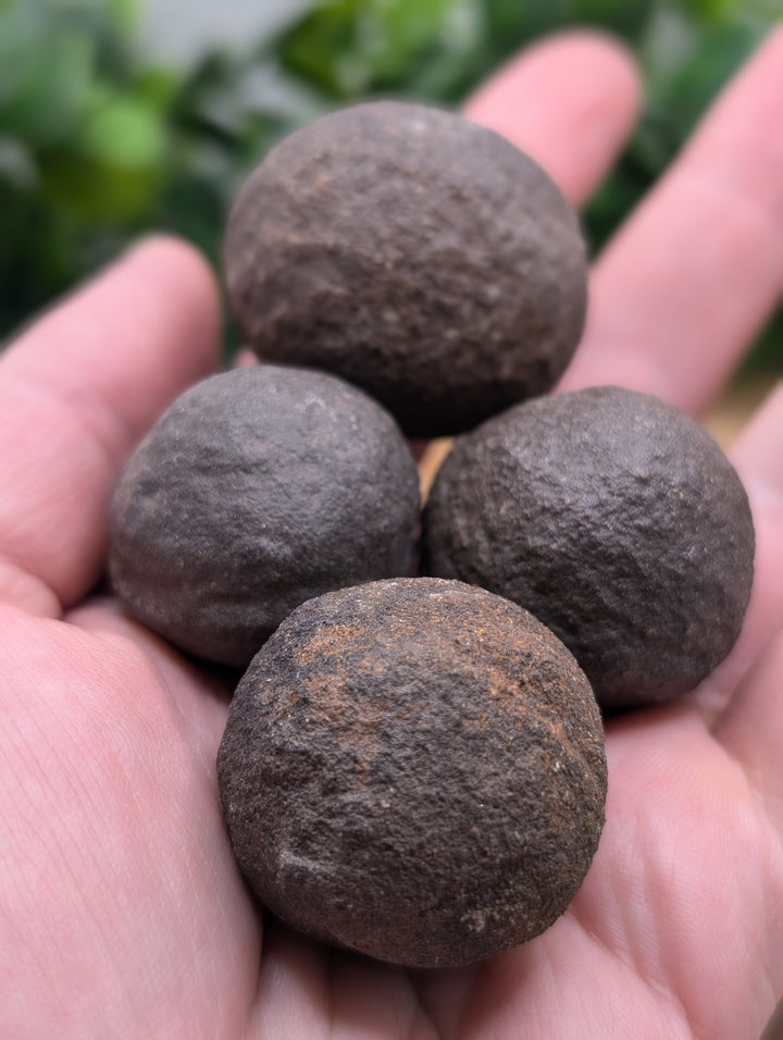 Shaman Stones (Mochi Balls) Large