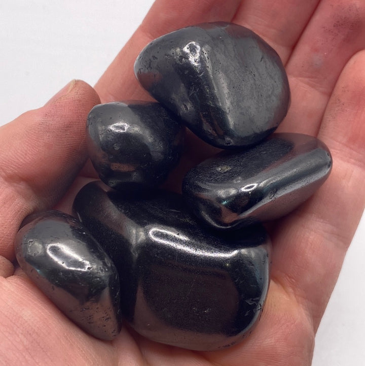 Shungite Tumbled