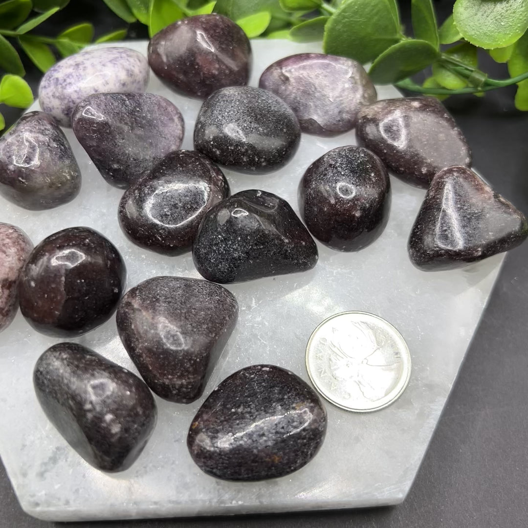 Dark Lepidolite Tumbled Stones