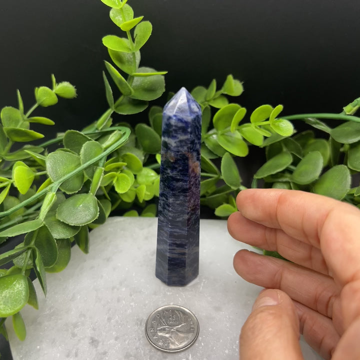 Sodalite Polished Point (#1)