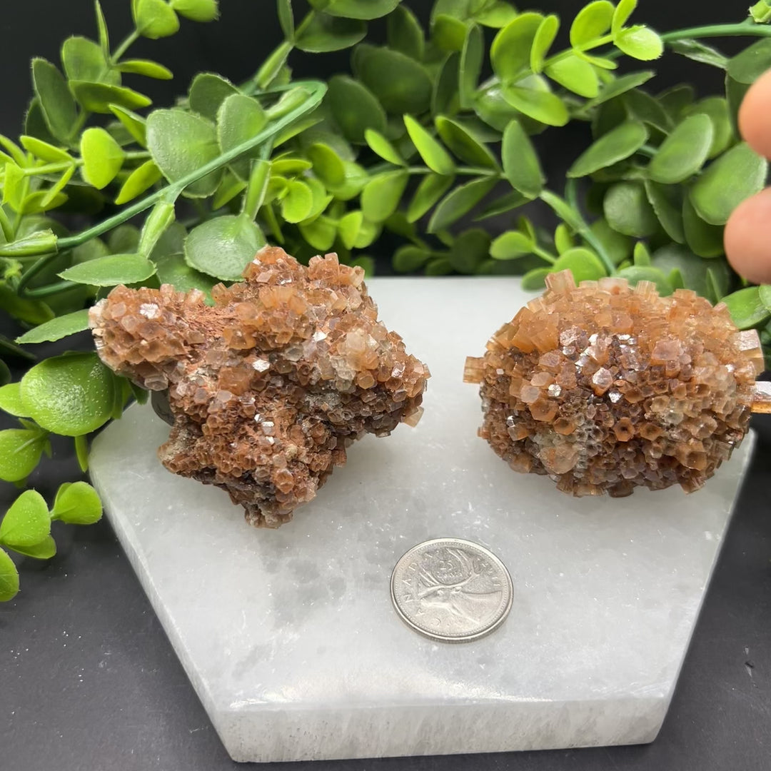 Aragonite Clusters (L)