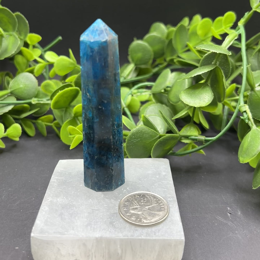 High Quality Blue Apatite Polished Point (#1)