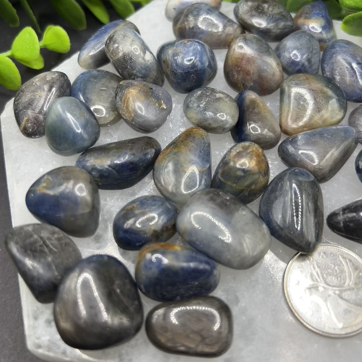 Sapphire Tumbled (S-M)