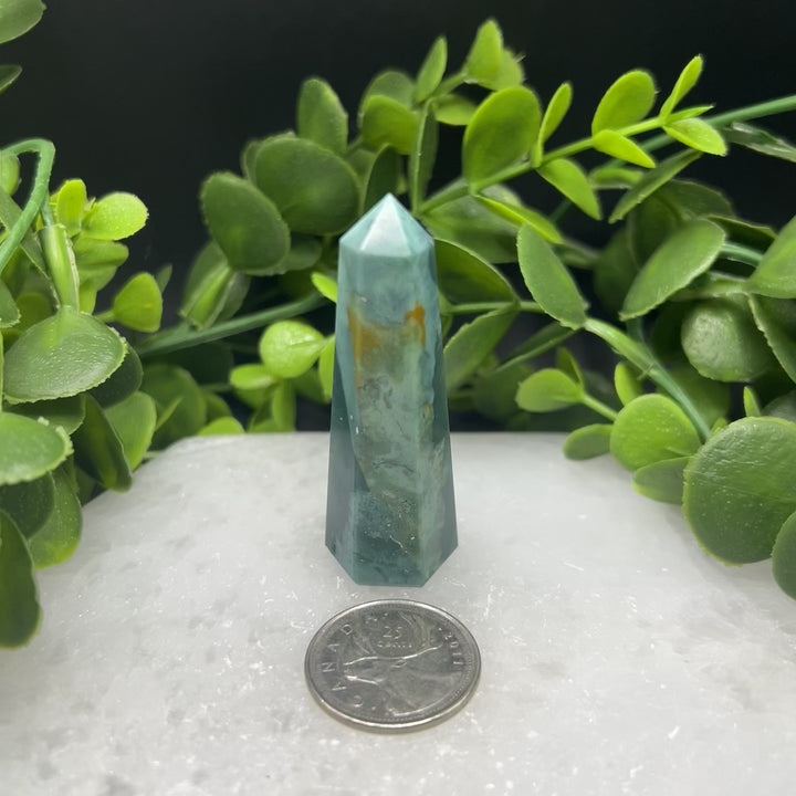 Bloodstone Polished Point (#5)