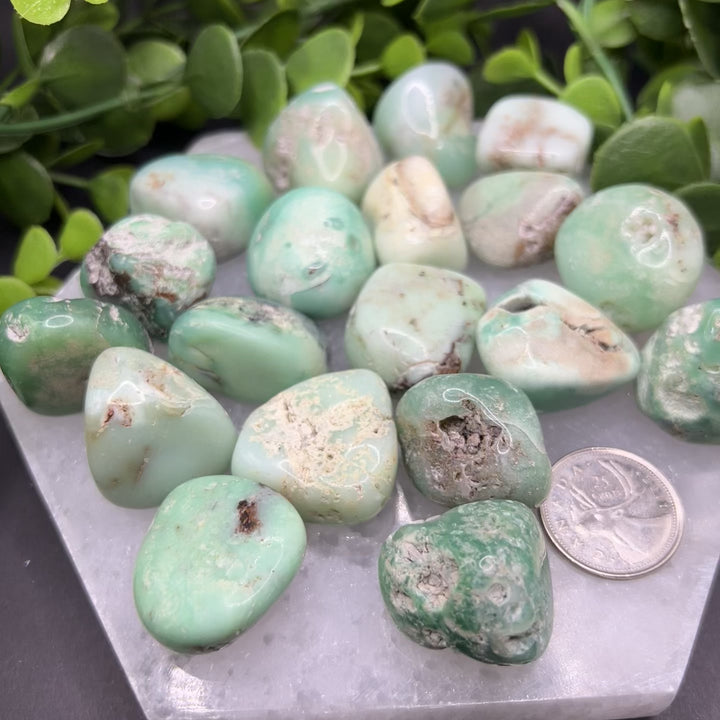 Chrysoprase Tumbled Stone (M-L)