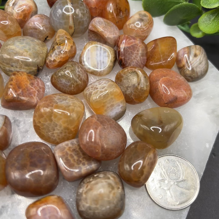 Red Fire Agate Tumbled