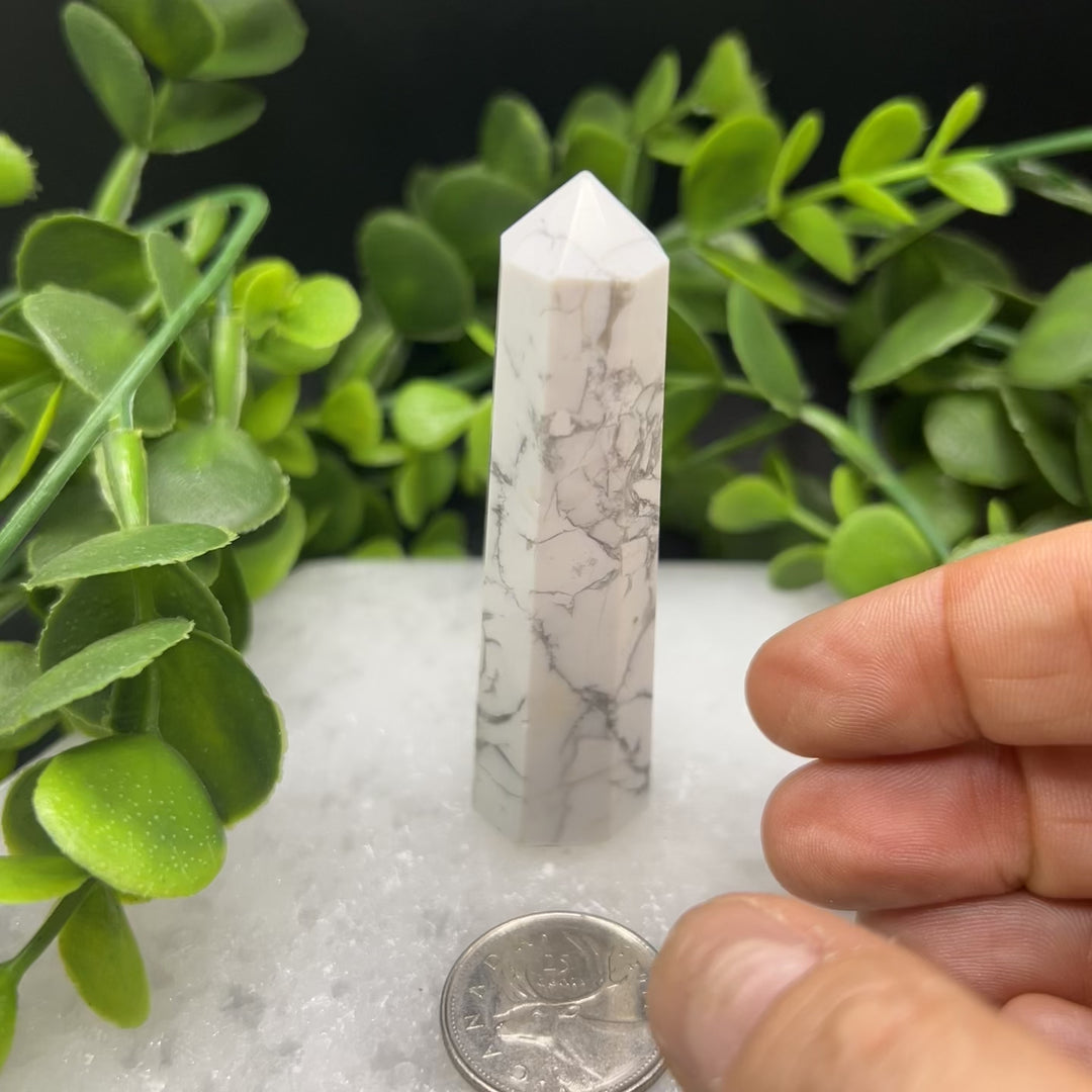 Howlite Polished Point (#2)