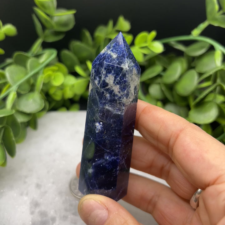 Sodalite Polished Point (#3)