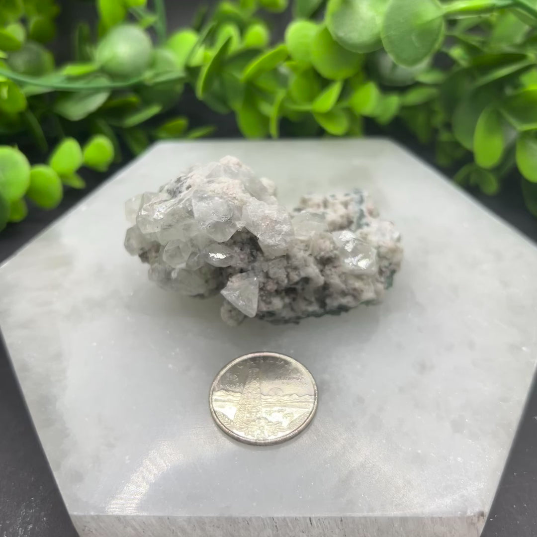 Diamond Apophyllite Zeolite Cluster(#8)