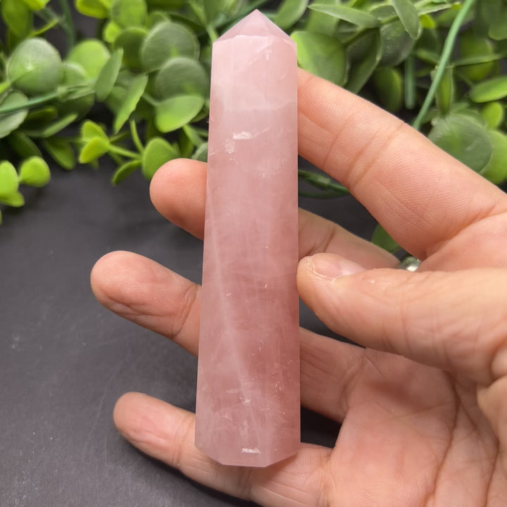 Rose Quartz Polished Point (#15)