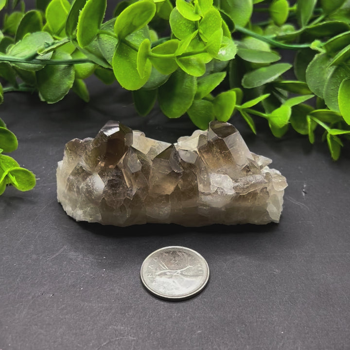 Smokey Quartz Cluster