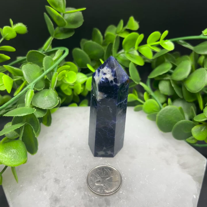 Sodalite Polished Point (#5)