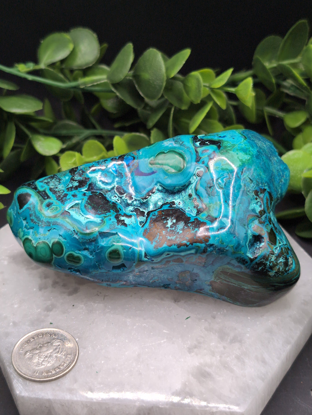 Chrysocolla Malachite Specimen #2