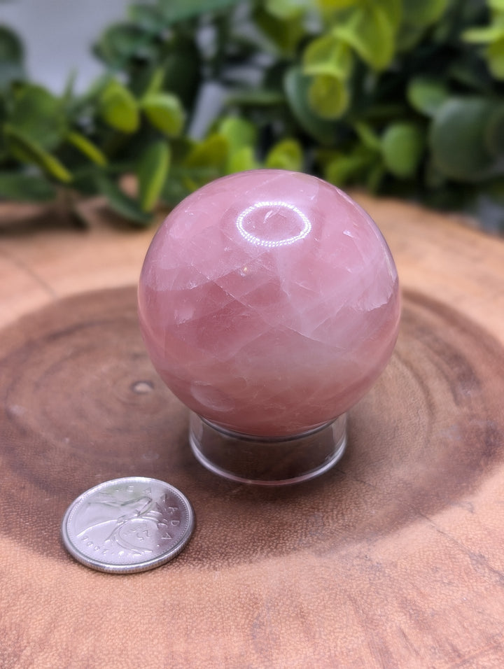 Rose Quartz Sphere (medium)