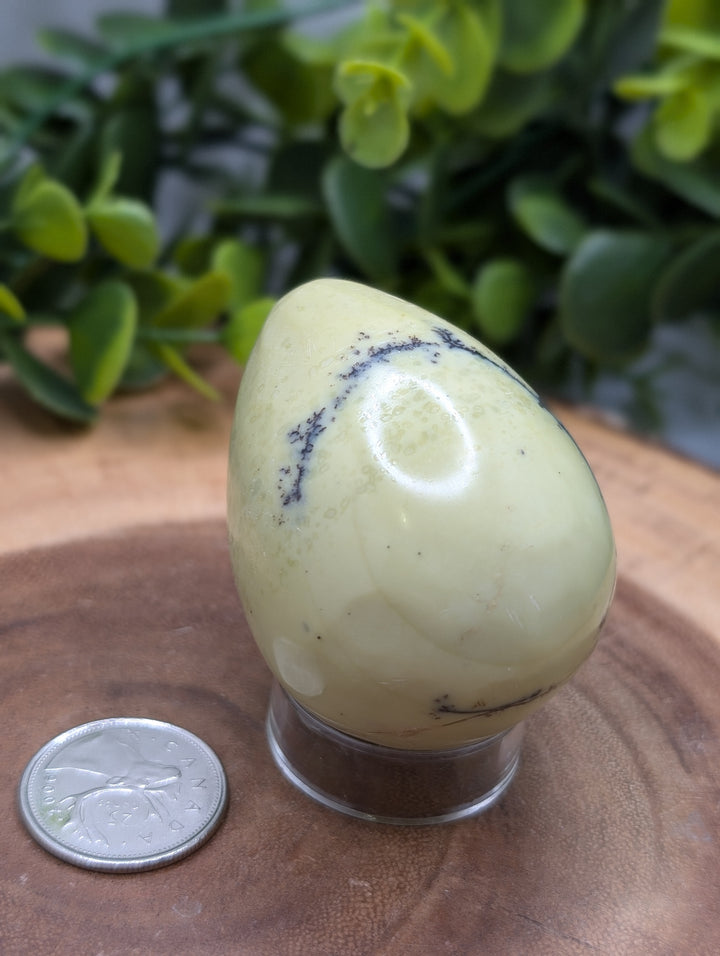Serpentine Egg