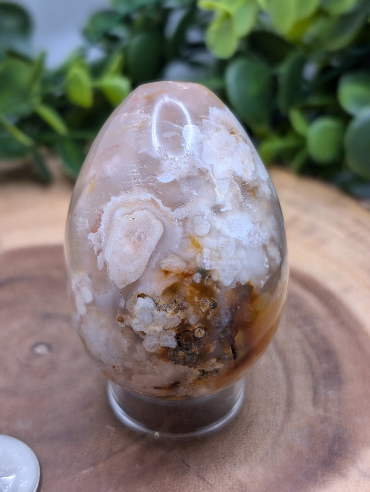 Flower Agate Egg