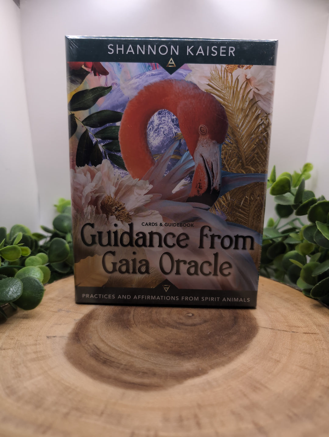 Guidance from Gaia Oracle