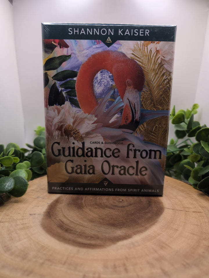 Guidance from Gaia Oracle