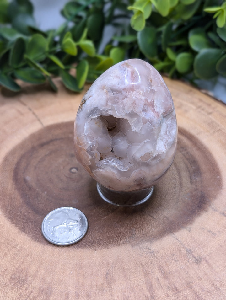 Flower Agate Druzy Egg