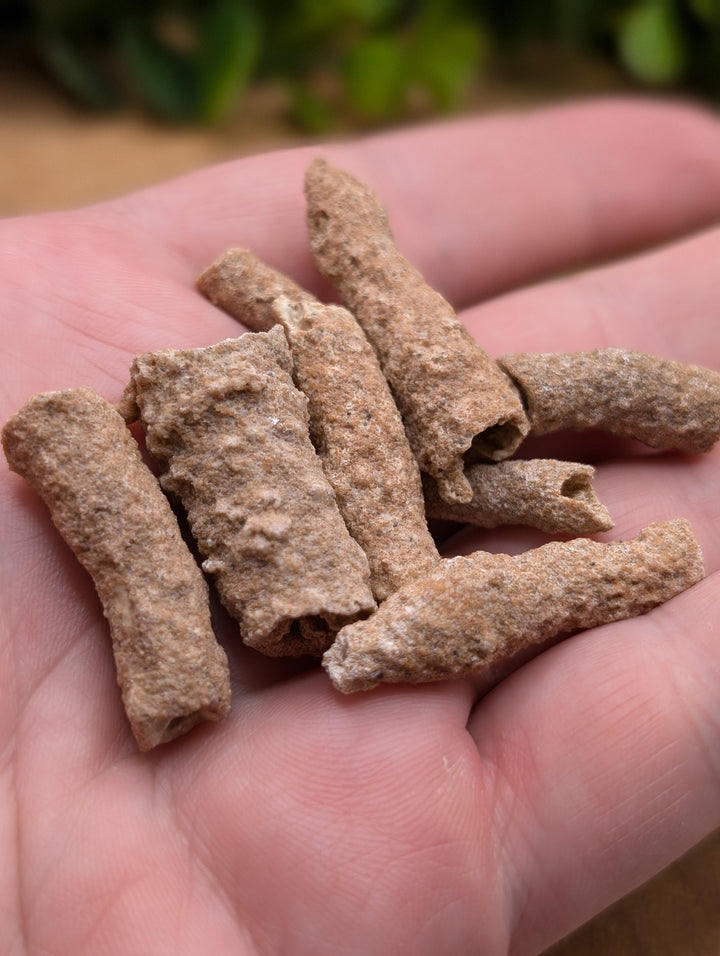 Fulgurite Specimen