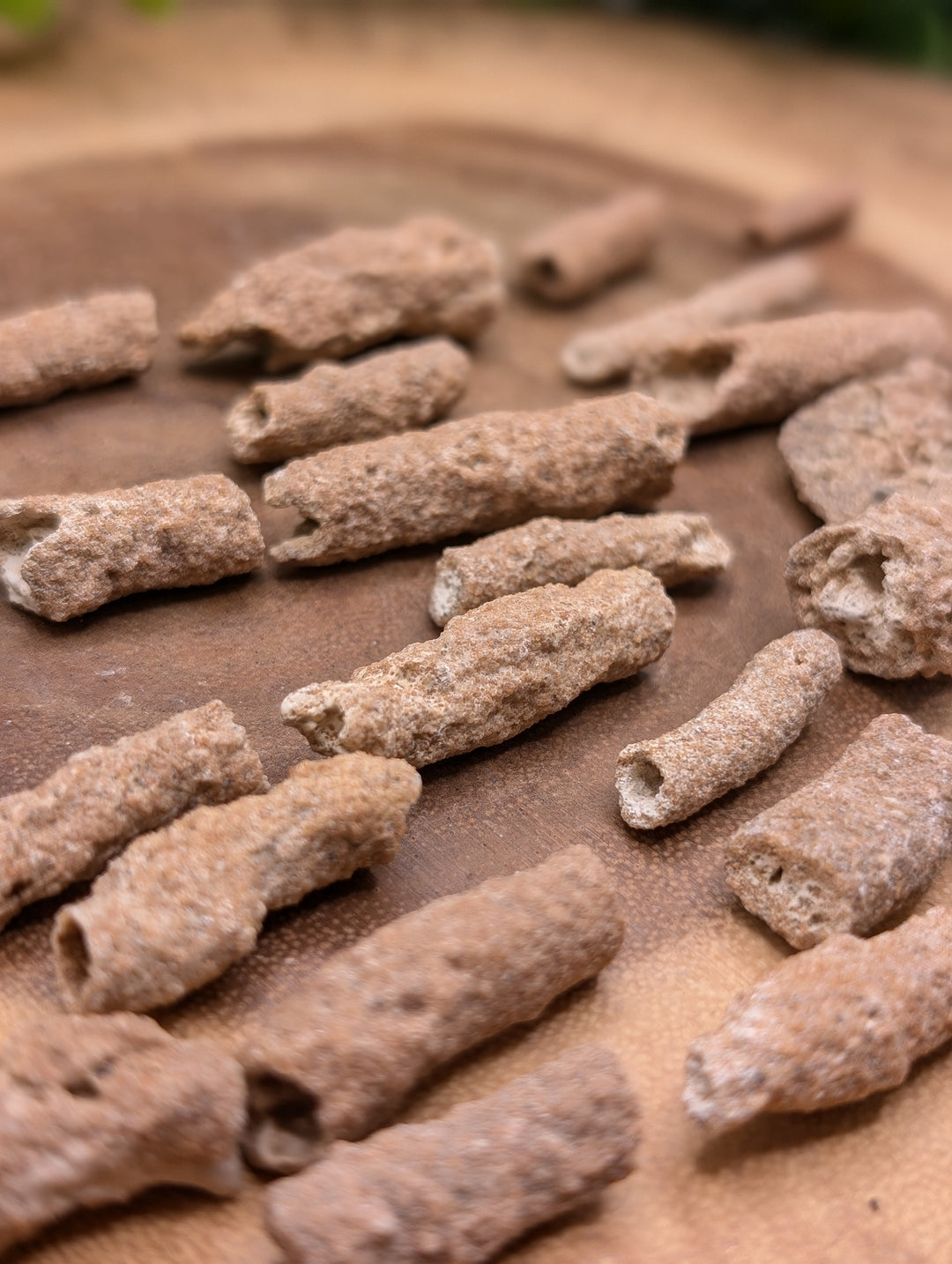 Fulgurite Specimen