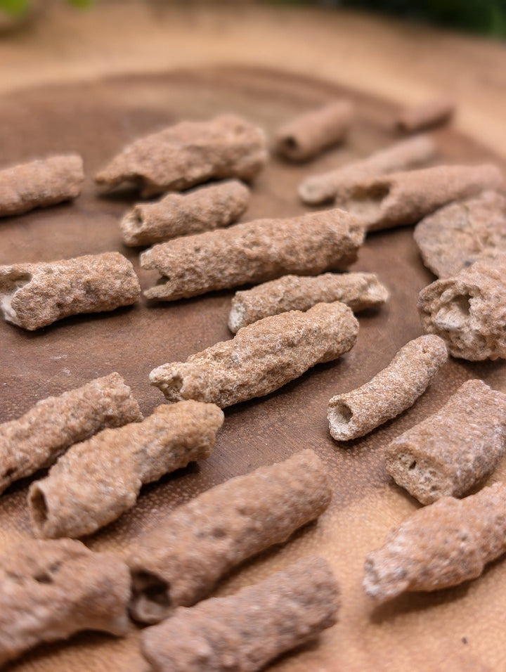 Fulgurite Specimen