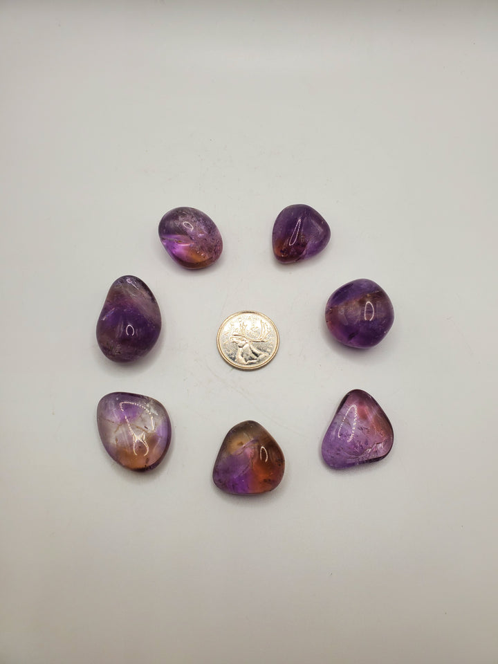 Ametrine Tumbled Stone (M)