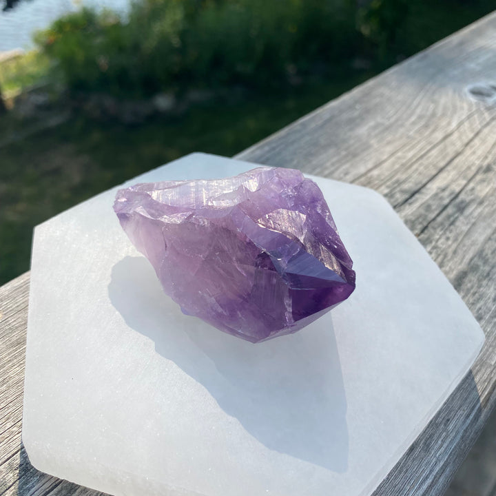 AAA Rough Amethyst Single Terminated Crystal (Item 11)